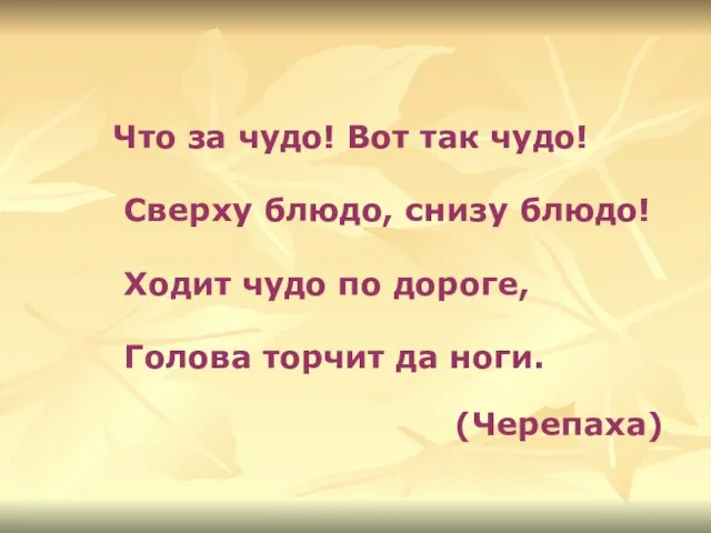 Что за чудо! Вот так чудо! Сверху блюдо, снизу блюдо! Ходит чудо