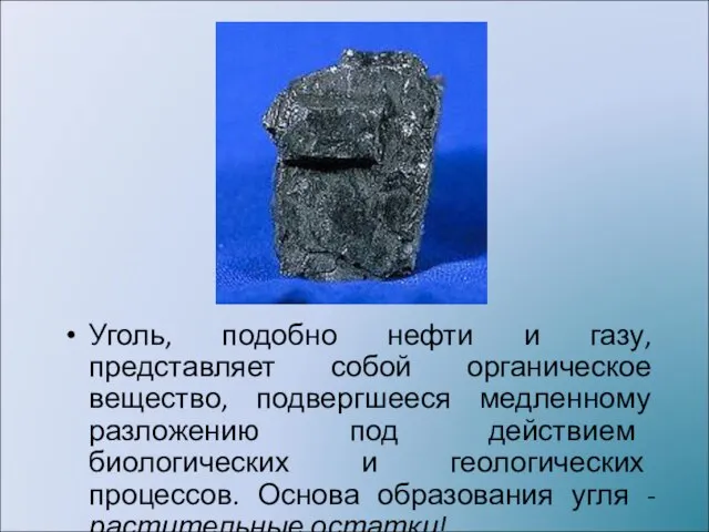 Уголь, подобно нефти и газу, представляет собой органическое вещество, подвергшееся медленному разложению