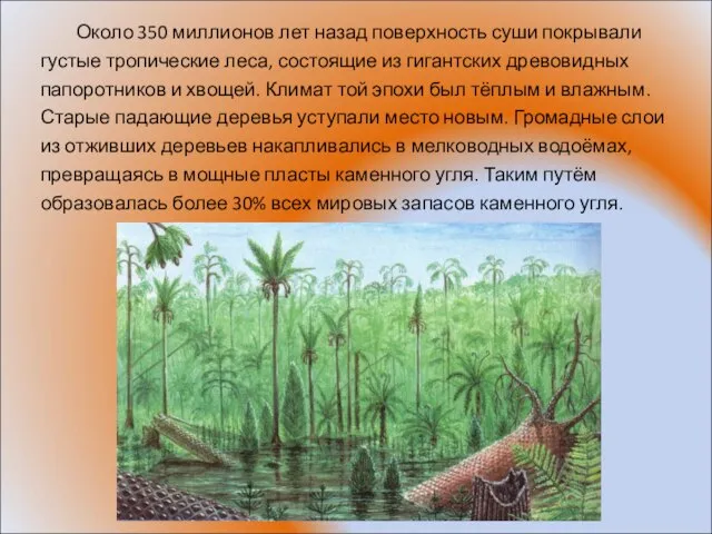 Около 350 миллионов лет назад поверхность суши покрывали густые тропические леса, состоящие