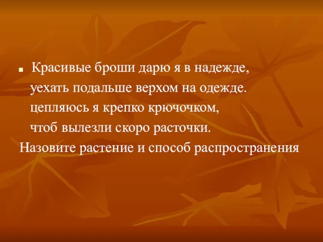 Красивые броши дарю я в надежде, уехать подальше верхом на одежде. цепляюсь