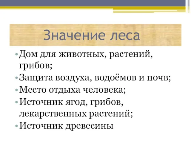 Значение леса Дом для животных, растений, грибов; Защита воздуха, водоёмов и почв;