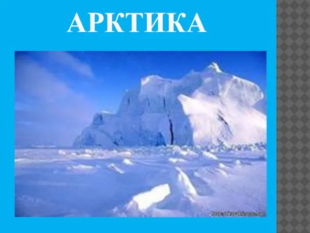 Арктика