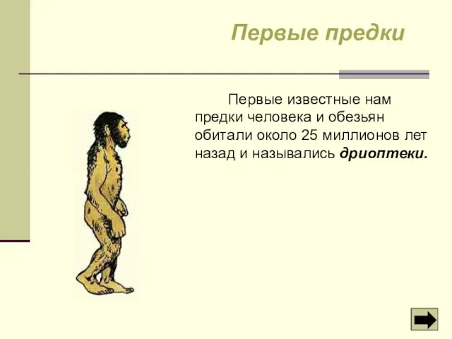 Первые известные нам предки человека и обезьян обитали около 25 миллионов лет