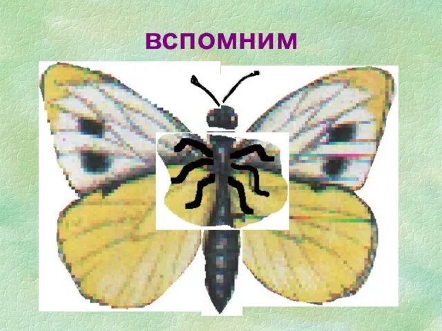 вспомним