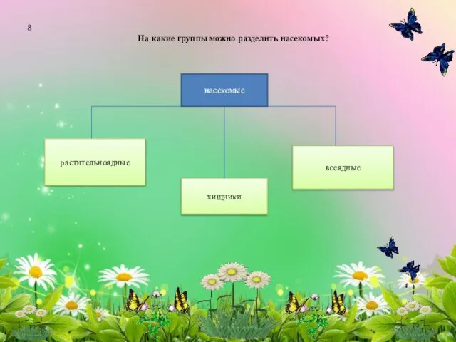 На какие группы можно разделить насекомых? растительноядные хищники всеядные насекомые 8