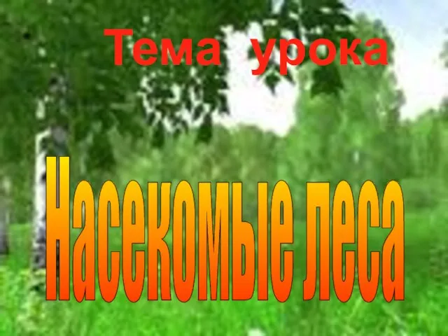 Тема урока Насекомые леса