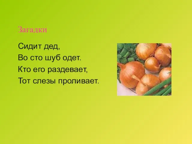 Загадки Сидит дед, Во сто шуб одет. Кто его раздевает, Тот слезы проливает.