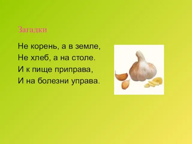 Загадки Не корень, а в земле, Не хлеб, а на столе. И