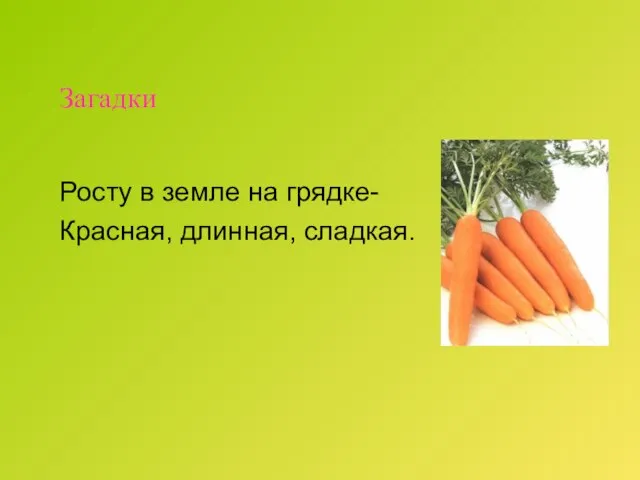 Загадки Росту в земле на грядке- Красная, длинная, сладкая.