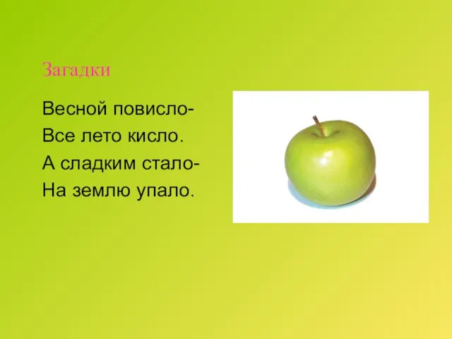 Загадки Весной повисло- Все лето кисло. А сладким стало- На землю упало.