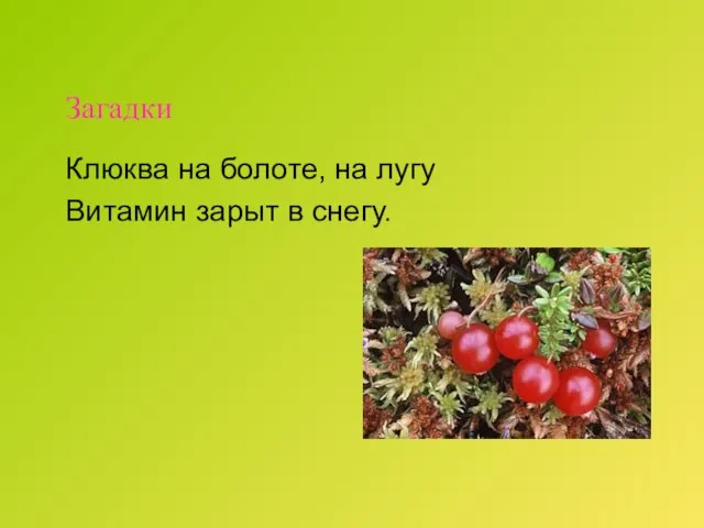 Загадки Клюква на болоте, на лугу Витамин зарыт в снегу.