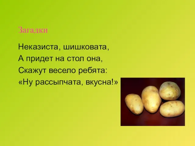 Загадки Неказиста, шишковата, А придет на стол она, Скажут весело ребята: «Ну рассыпчата, вкусна!»