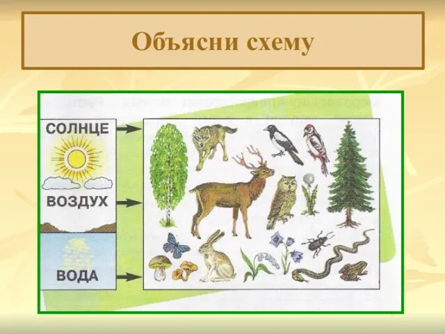 Объясни схему