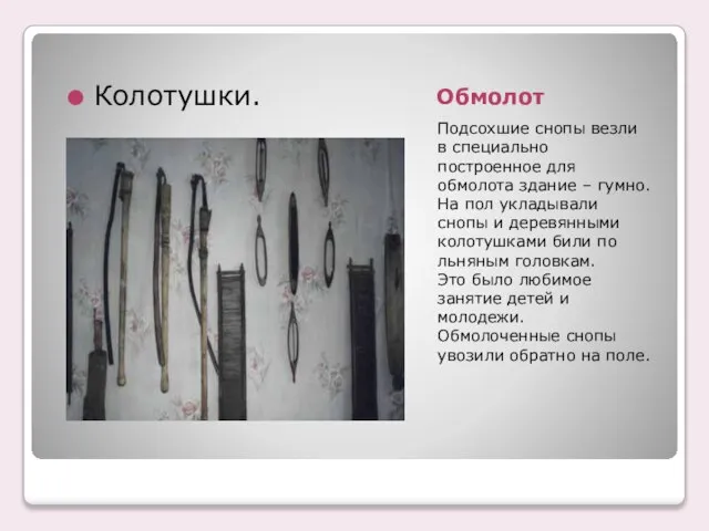 Обмолот Подсохшие снопы везли в специально построенное для обмолота здание – гумно.