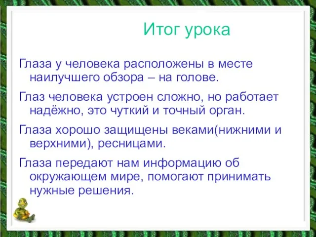 Итог урока Глаза у человека расположены в месте наилучшего обзора – на