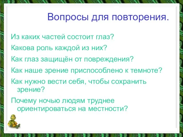 Вопросы для повторения. Из каких частей состоит глаз? Какова роль каждой из