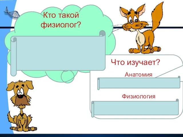 Кто такой физиолог? Физиолог- ученый, занимающийся изучением строения и работой органов. Что