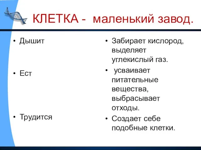 КЛЕТКА - маленький завод. Дышит Ест Трудится Забирает кислород, выделяет углекислый газ.