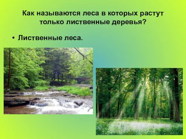 Как называются леса в которых растут только лиственные деревья? Лиственные леса.