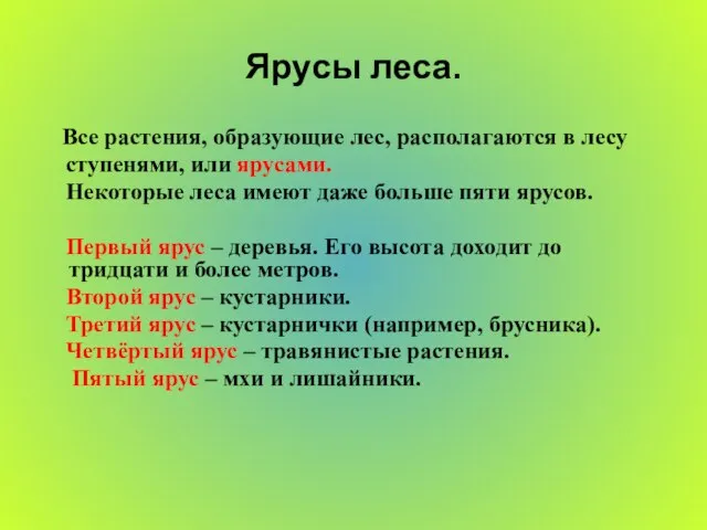 Ярусы леса. Все растения, образующие лес, располагаются в лесу ступенями, или ярусами.