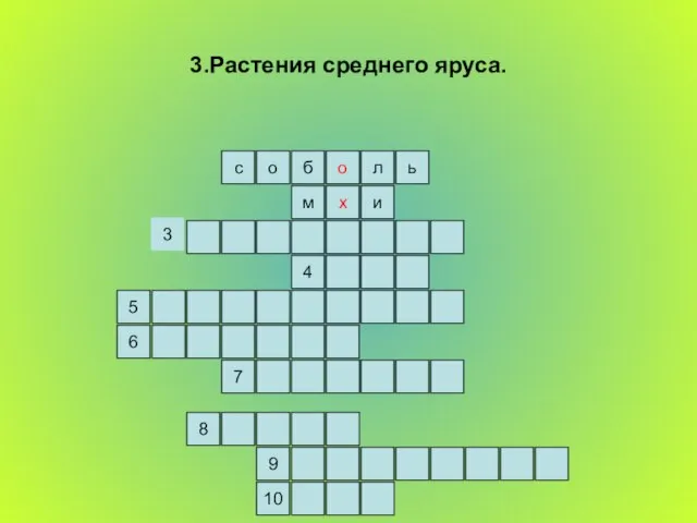 3.Растения среднего яруса. ь л о б о с и м х