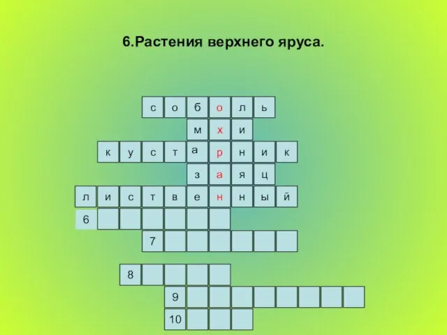 6.Растения верхнего яруса. ь л о б о с и м н