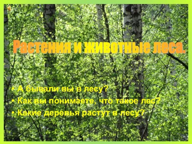 А бывали вы в лесу? Как вы понимаете, что такое лес? Какие