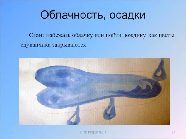 Облачность, осадки Стоит набежать облачку или пойти дождику, как цветы одуванчика закрываются.