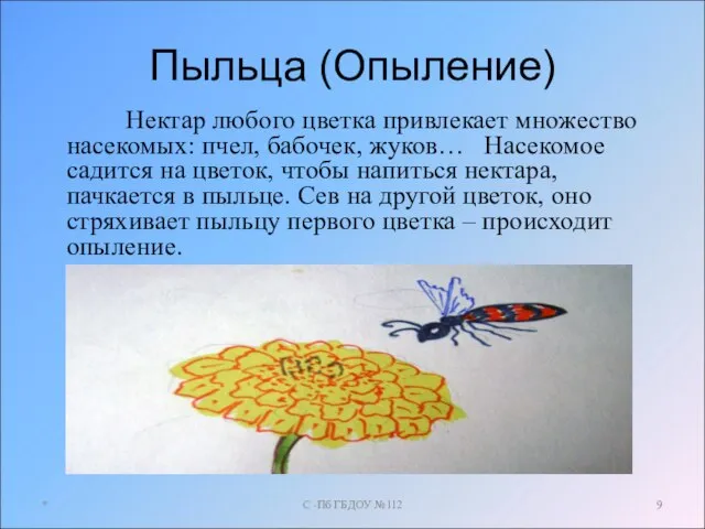 Пыльца (Опыление) Нектар любого цветка привлекает множество насекомых: пчел, бабочек, жуков… Насекомое