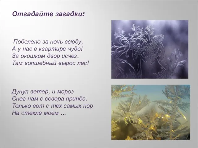 Отгадайте загадки: Побелело за ночь всюду, А у нас в квартире чудо!