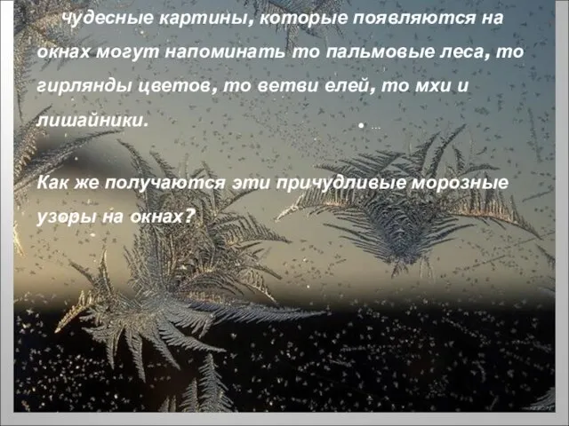 Чудесные картины, которые появляются на окнах могут напоминать то пальмовые леса, то