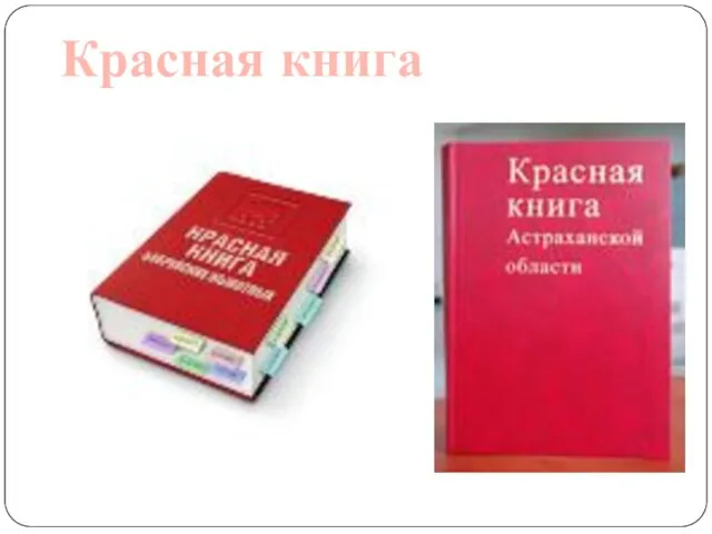 Красная книга