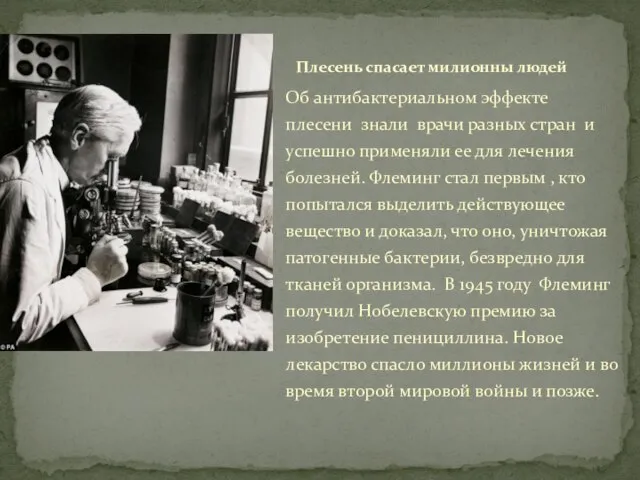 Об антибактериальном эффекте плесени знали врачи разных стран и успешно применяли ее