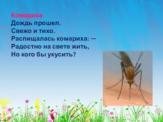 Комариха Дождь прошел. Свежо и тихо. Распищалась комариха: — Радостно на свете