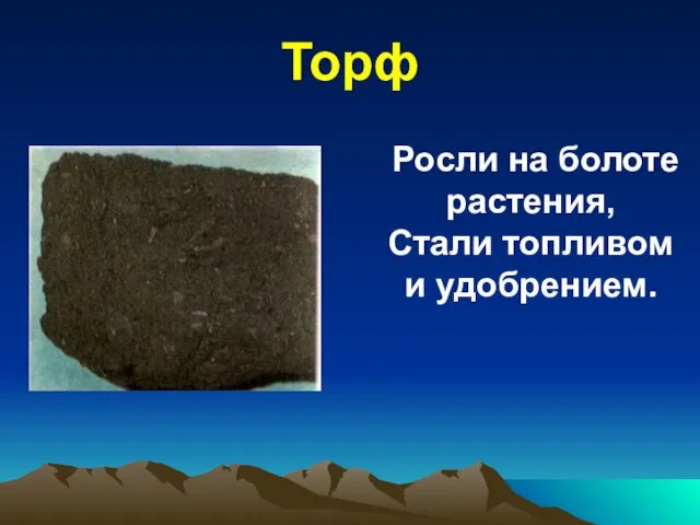 Торф Росли на болоте растения, Стали топливом и удобрением.