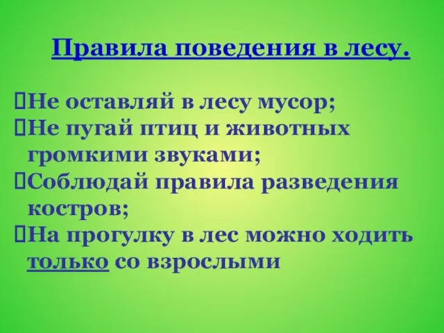 Правила поведения в лесу. Не оставляй в лесу мусор; Не пугай птиц