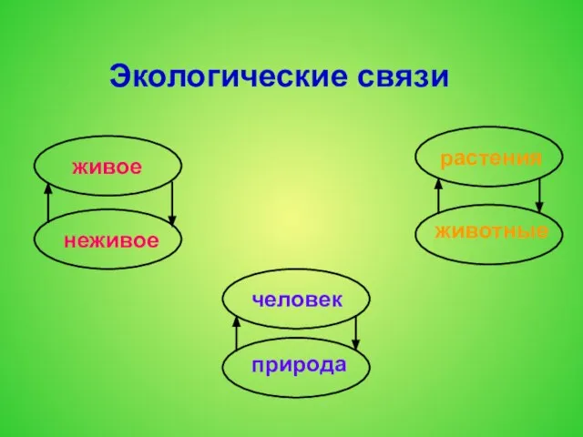 Экологические связи живое неживое растения животные человек природа