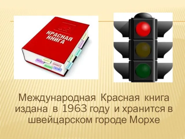 Международная Красная книга издана в 1963 году и хранится в швейцарском городе Морхе