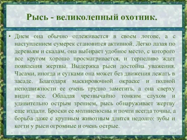 Рысь - великолепный охотник. Днем она обычно отлеживается в своем логове, а