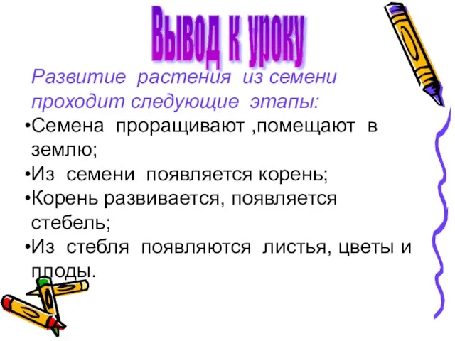 Вывод к уроку Развитие растения из семени проходит следующие этапы: Семена проращивают