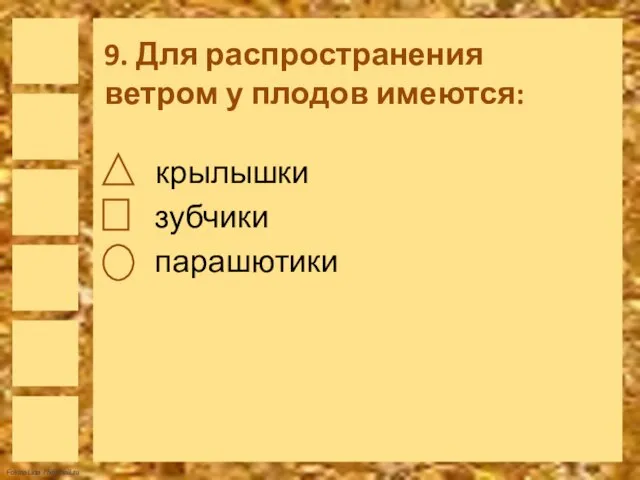 9. Для распространения ветром у плодов имеются: крылышки зубчики парашютики