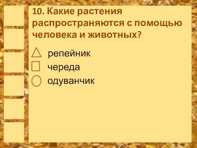 10. Какие растения распространяются с помощью человека и животных? репейник череда одуванчик