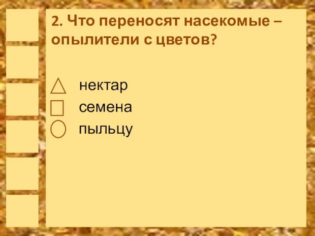 2. Что переносят насекомые –опылители с цветов? нектар семена пыльцу