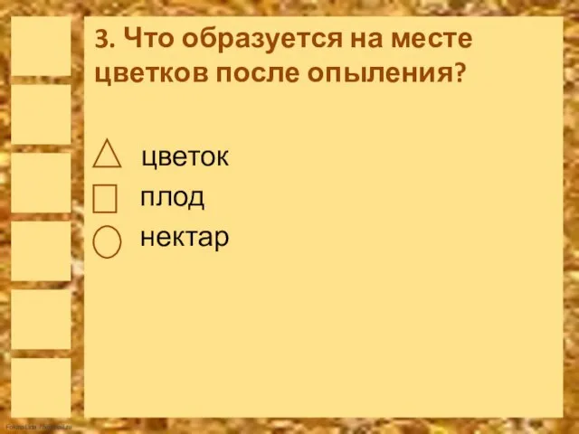 3. Что образуется на месте цветков после опыления? цветок плод нектар