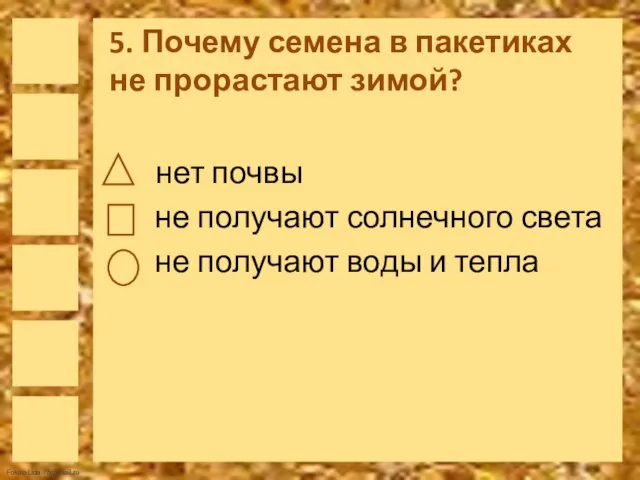 5. Почему семена в пакетиках не прорастают зимой? нет почвы не получают