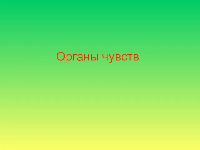 Органы чувств