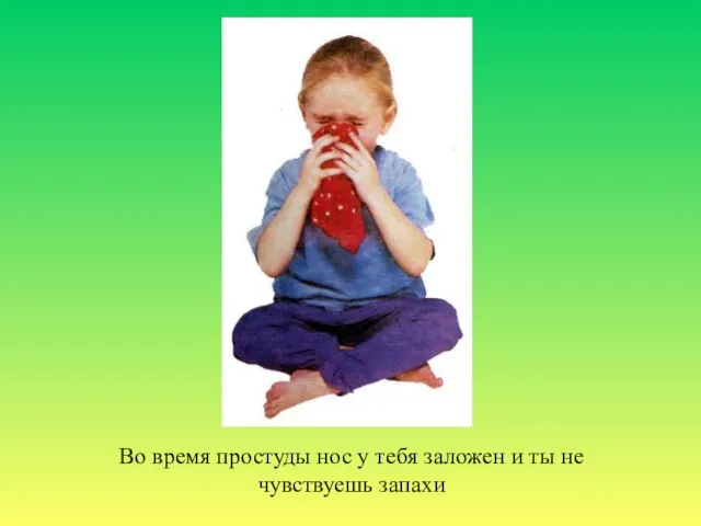 Во время простуды нос у тебя заложен и ты не чувствуешь запахи