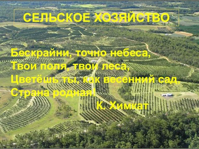 СЕЛЬСКОЕ ХОЗЯЙСТВО Бескрайни, точно небеса, Твои поля, твои леса, Цветёшь ты, как