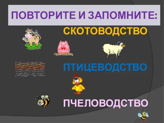 ПОВТОРИТЕ И ЗАПОМНИТЕ: СКОТОВОДСТВО ПТИЦЕВОДСТВО ПЧЕЛОВОДСТВО