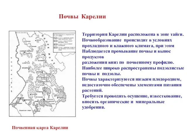 Почвы Карелии Территория Карелии расположена в зоне тайги. Почвообразование происходит в условиях